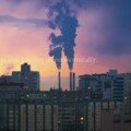 World Environment Day 2023